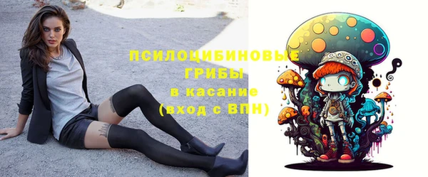 ПСИЛОЦИБИНОВЫЕ ГРИБЫ Богородицк
