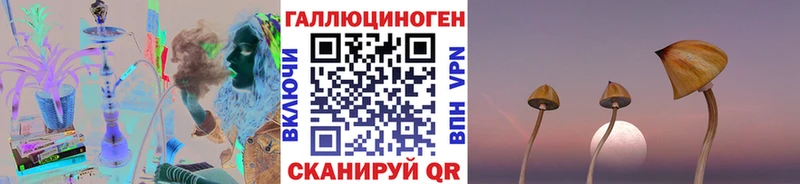 Псилоцибиновые грибы Magic Shrooms  MEGA   Яблоновский 